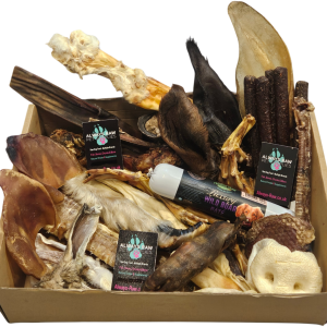 Treat Box With Chicken