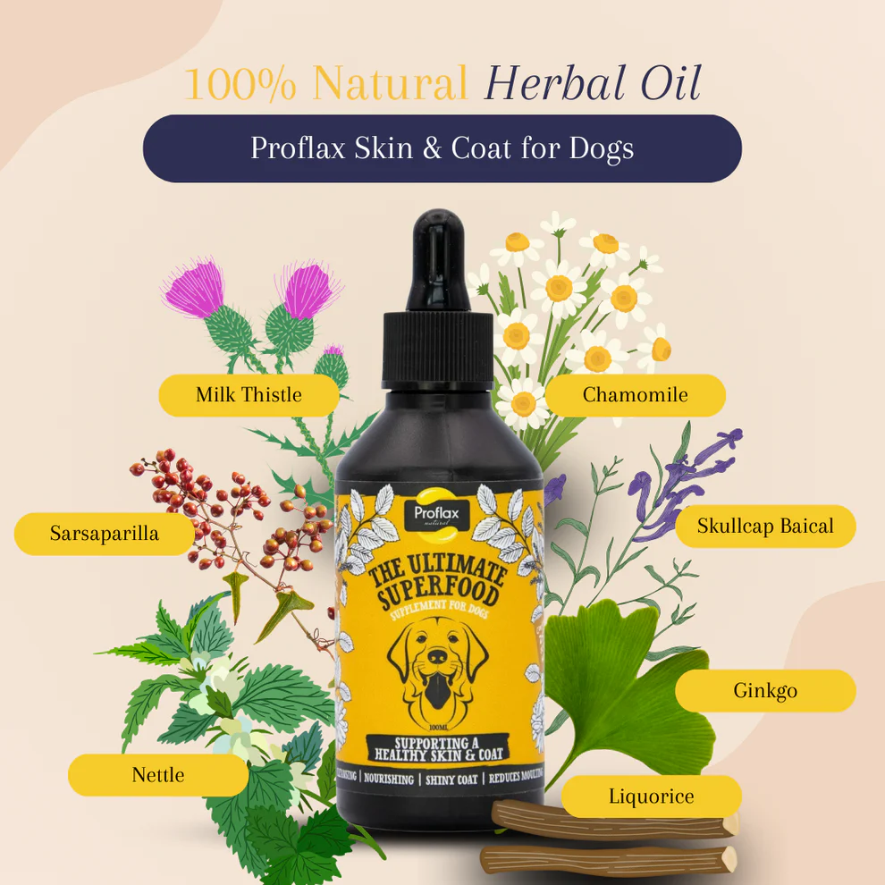 Proflax Skin and Coat for Dogs